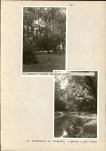 Ewidencja parkowa, skan nr 43