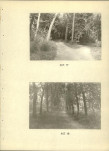 EP - Ewidencja parkowa, skan nr 64