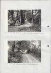 Ewidencja parkowa, skan nr 38