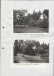 Ewidencja parkowa, skan nr 39