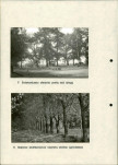 Ewidencja parkowa, skan nr 26
