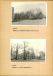 EP - Ewidencja parkowa, skan nr 31