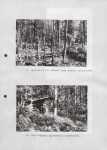 Ewidencja parkowa, skan nr 34