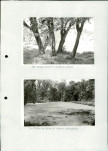 Ewidencja parkowa, skan nr 33