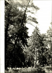Ewidencja parkowa, skan nr 34