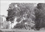 Ewidencja parkowa, skan nr 20