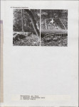 Karta cmentarza, skan nr 5