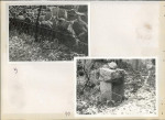 Karta cmentarza, skan nr 7