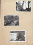 Karta cmentarza, skan nr 8