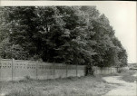 Karta cmentarza, skan nr 15