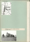 KC - Karta cmentarza, skan nr 4