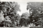 Ewidencja parkowa, skan nr 19