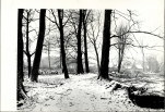 Ewidencja parkowa, skan nr 28