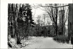 Ewidencja parkowa, skan nr 30