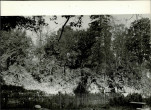 Ewidencja parkowa, skan nr 16