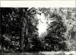 Ewidencja parkowa, skan nr 21