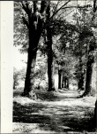 Ewidencja parkowa, skan nr 25