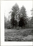 Ewidencja parkowa, skan nr 20