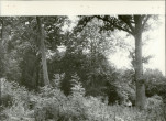 Ewidencja parkowa, skan nr 20