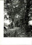 Ewidencja parkowa, skan nr 30