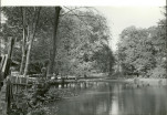Ewidencja parkowa, skan nr 26