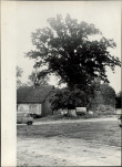 Ewidencja parkowa, skan nr 22
