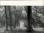 Ewidencja parkowa, skan nr 28