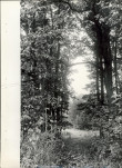 Ewidencja parkowa, skan nr 30