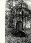 Ewidencja parkowa, skan nr 36