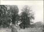 Ewidencja parkowa, skan nr 40