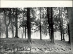 Ewidencja parkowa, skan nr 26