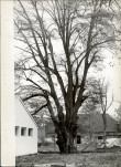 Ewidencja parkowa, skan nr 26