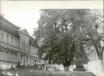 Ewidencja parkowa, skan nr 38