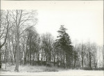 Ewidencja parkowa, skan nr 42