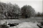 Ewidencja parkowa, skan nr 29