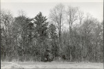 Ewidencja parkowa, skan nr 32