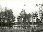 Ewidencja parkowa, skan nr 33