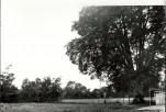 Ewidencja parkowa, skan nr 23