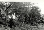 Ewidencja parkowa, skan nr 25