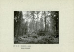 EP - Ewidencja parkowa, skan nr 23