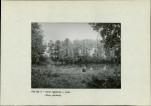 EP - Ewidencja parkowa, skan nr 15