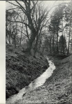 Ewidencja parkowa, skan nr 31