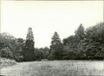 Ewidencja parkowa, skan nr 20