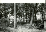 Ewidencja parkowa, skan nr 29