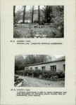 Ewidencja parkowa, skan nr 10