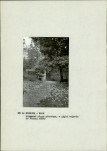 EP - Ewidencja parkowa, skan nr 11