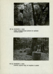 Ewidencja parkowa, skan nr 15