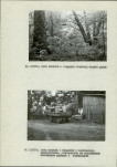 Ewidencja parkowa, skan nr 14