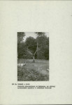 Ewidencja parkowa, skan nr 15