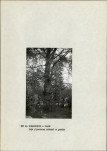 EP - Ewidencja parkowa, skan nr 13